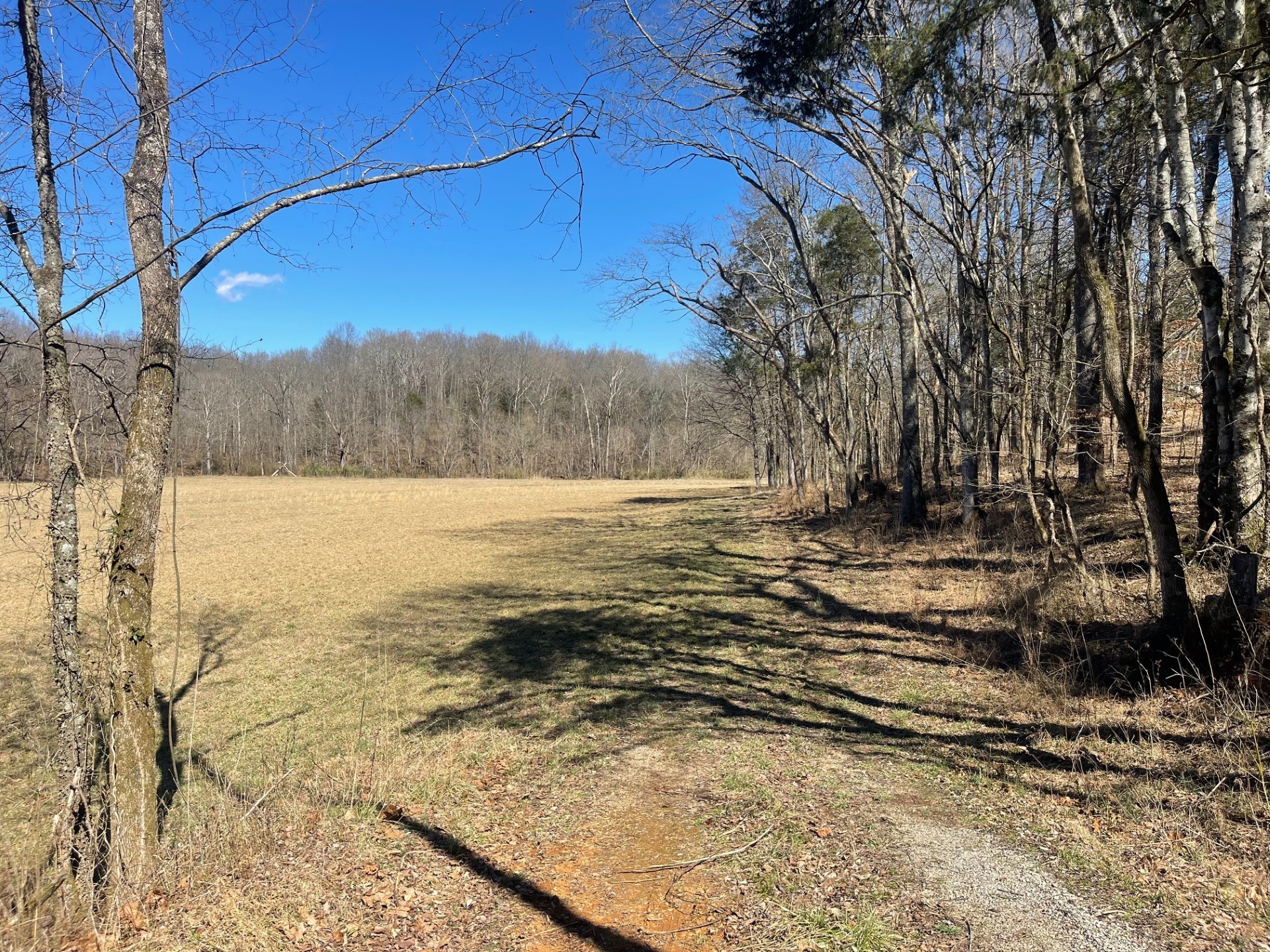 1 Old Clarksville Pike Property Photo 1