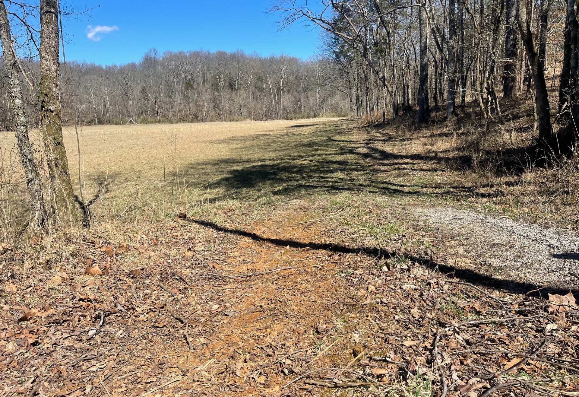 1 Old Clarksville Pike Property Photo 2