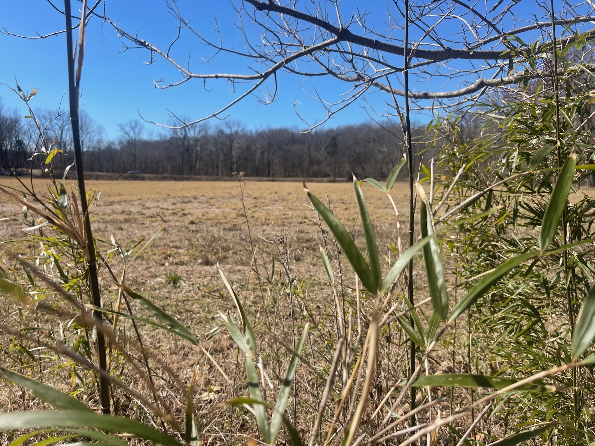 1 Old Clarksville Pike Property Photo 7