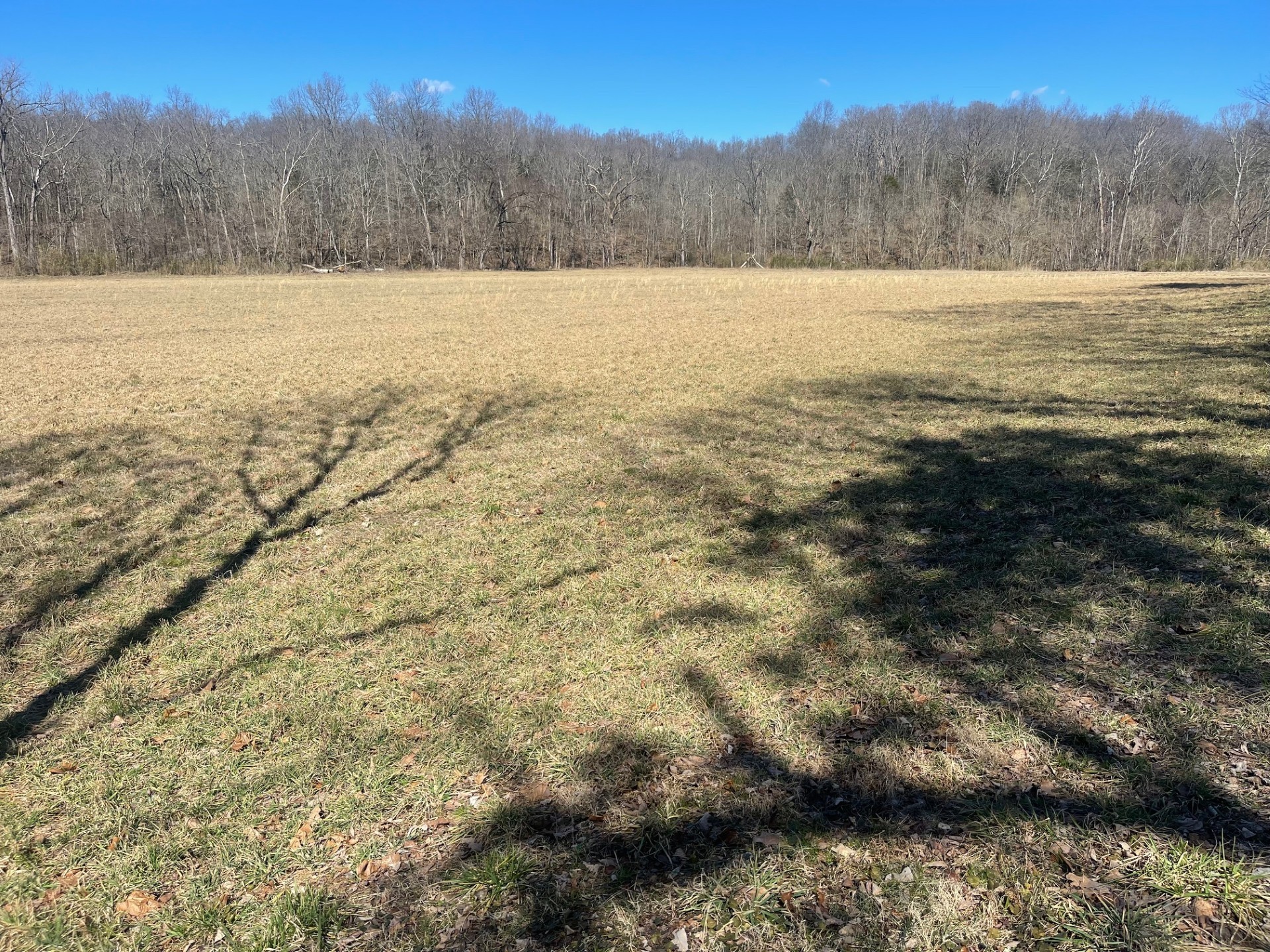 1 Old Clarksville Pike Property Photo 8