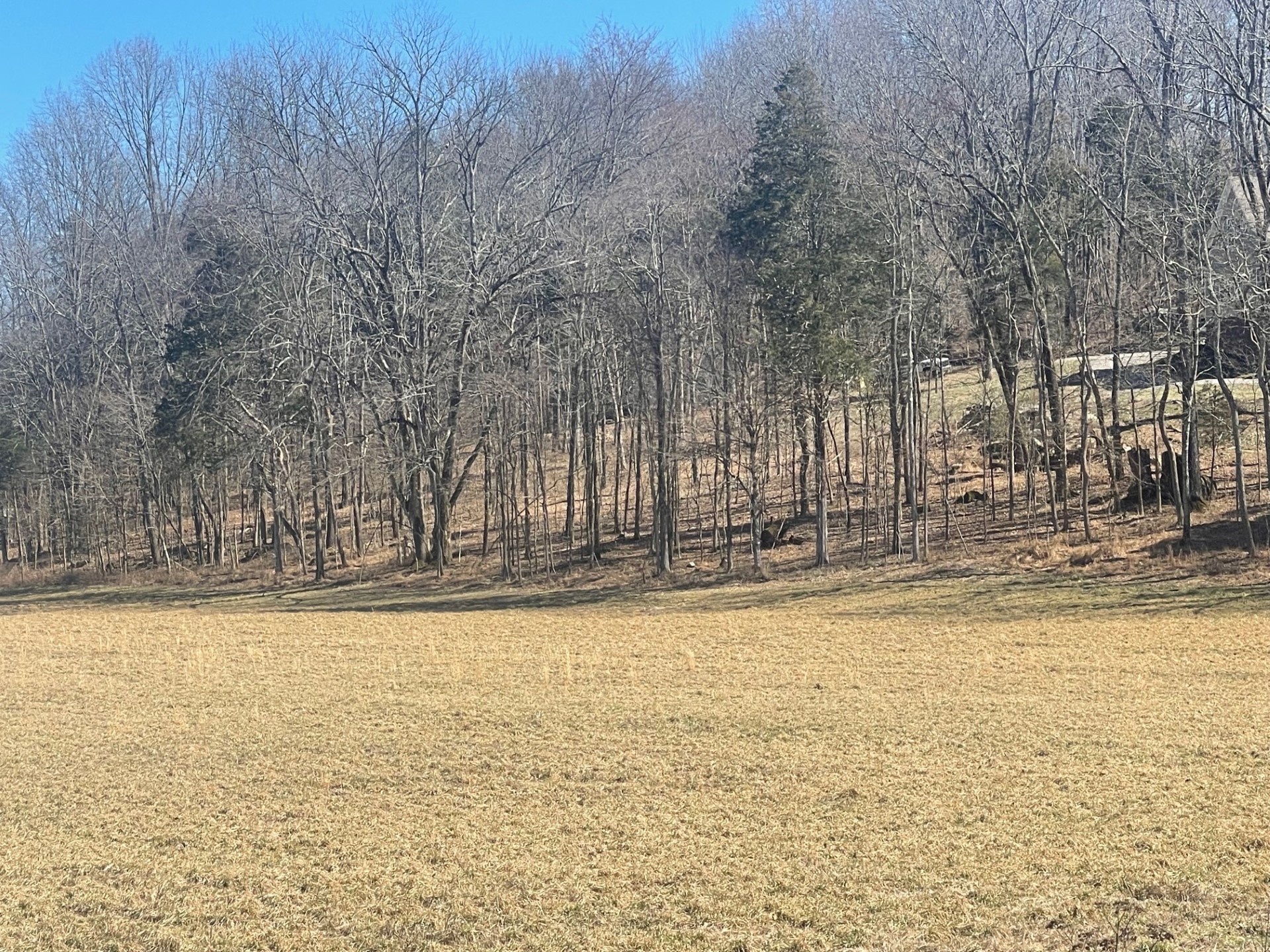 1 Old Clarksville Pike Property Photo 13
