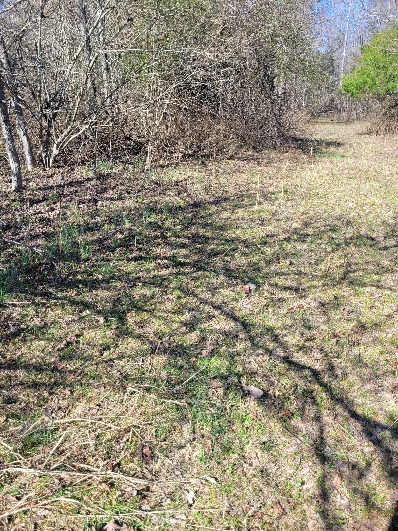 0 Cowhorne Hollow Rd Property Photo 1