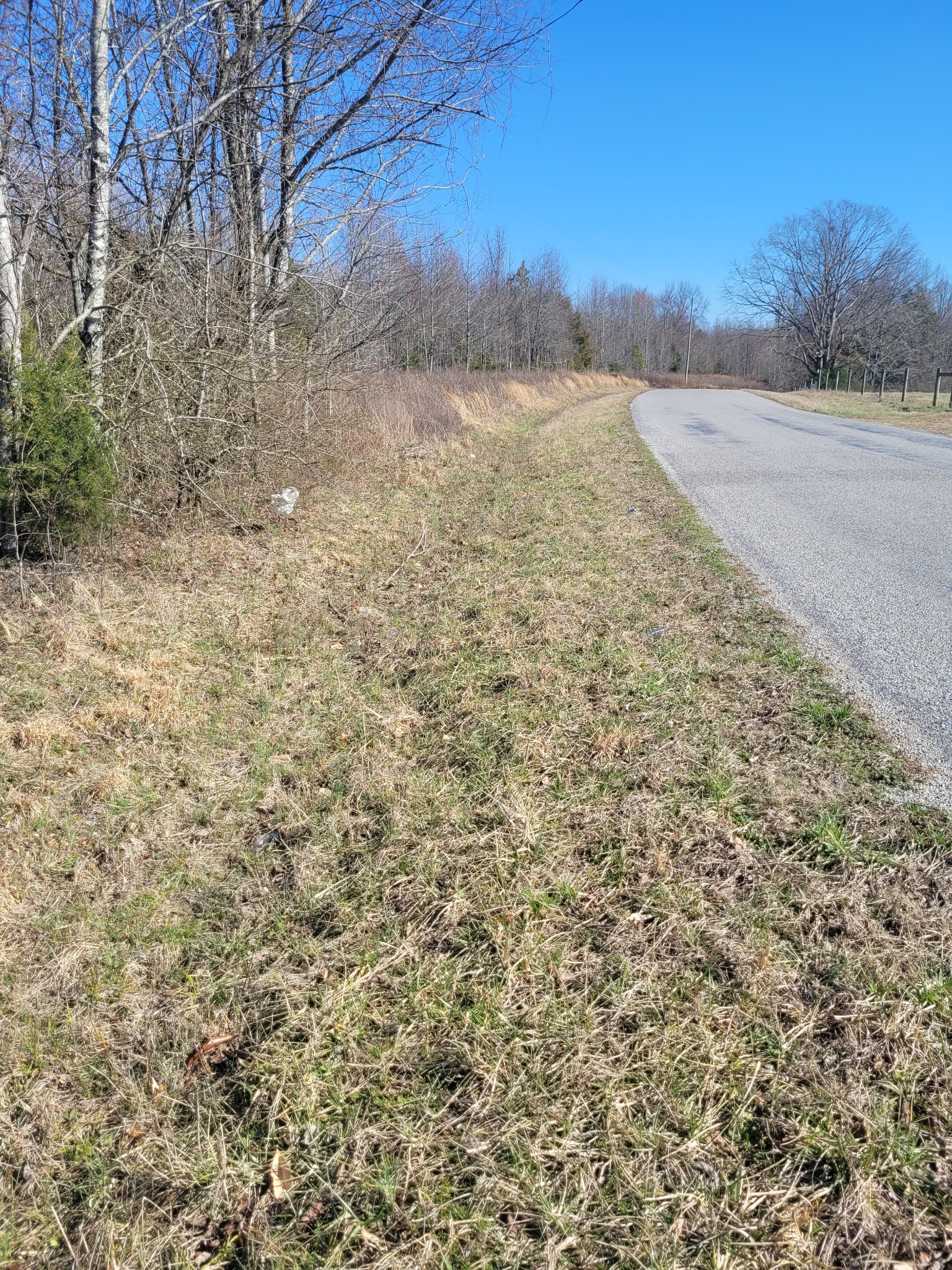 0 Cowhorne Hollow Rd Property Photo 3