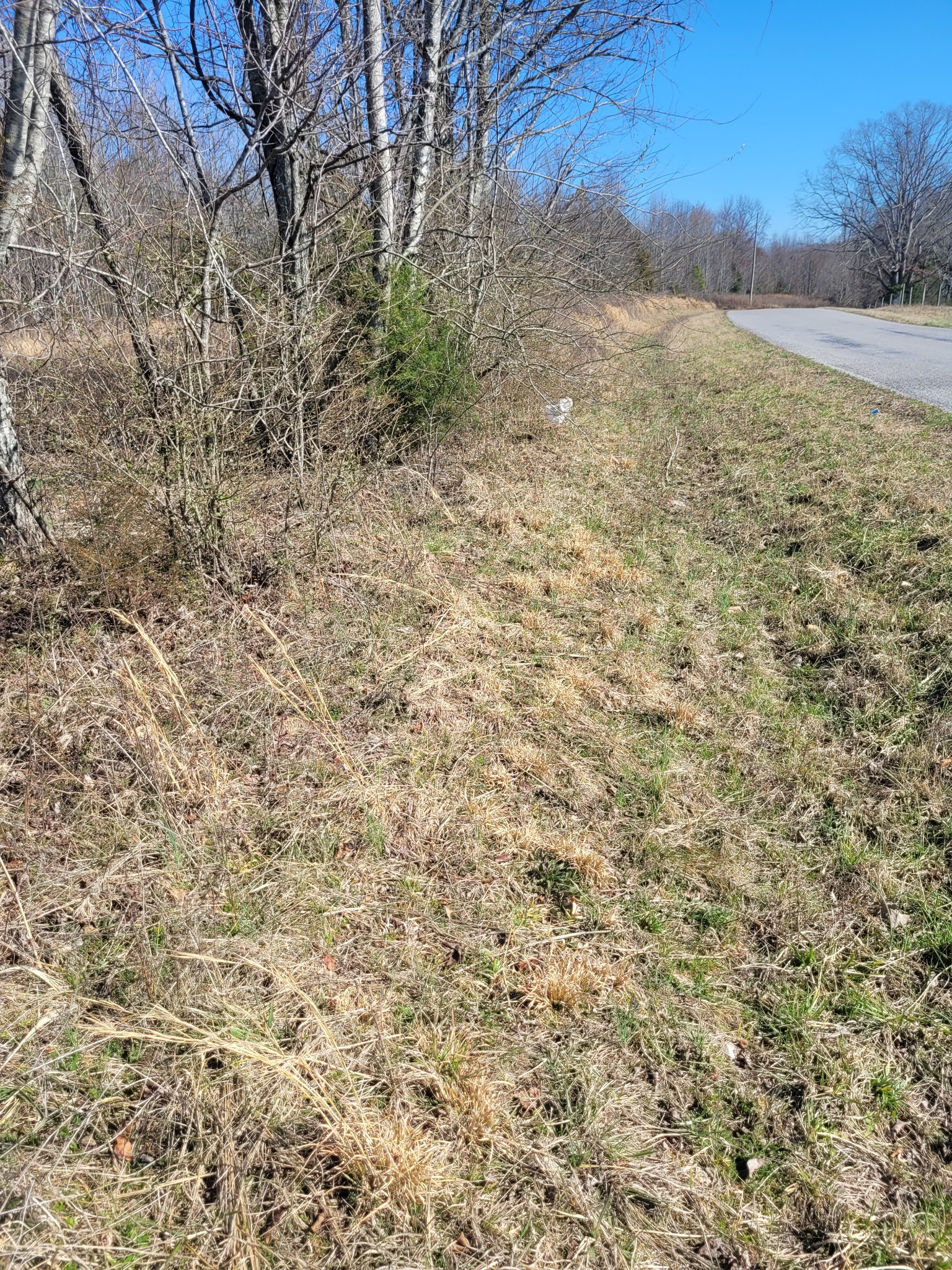 0 Cowhorne Hollow Rd Property Photo 8