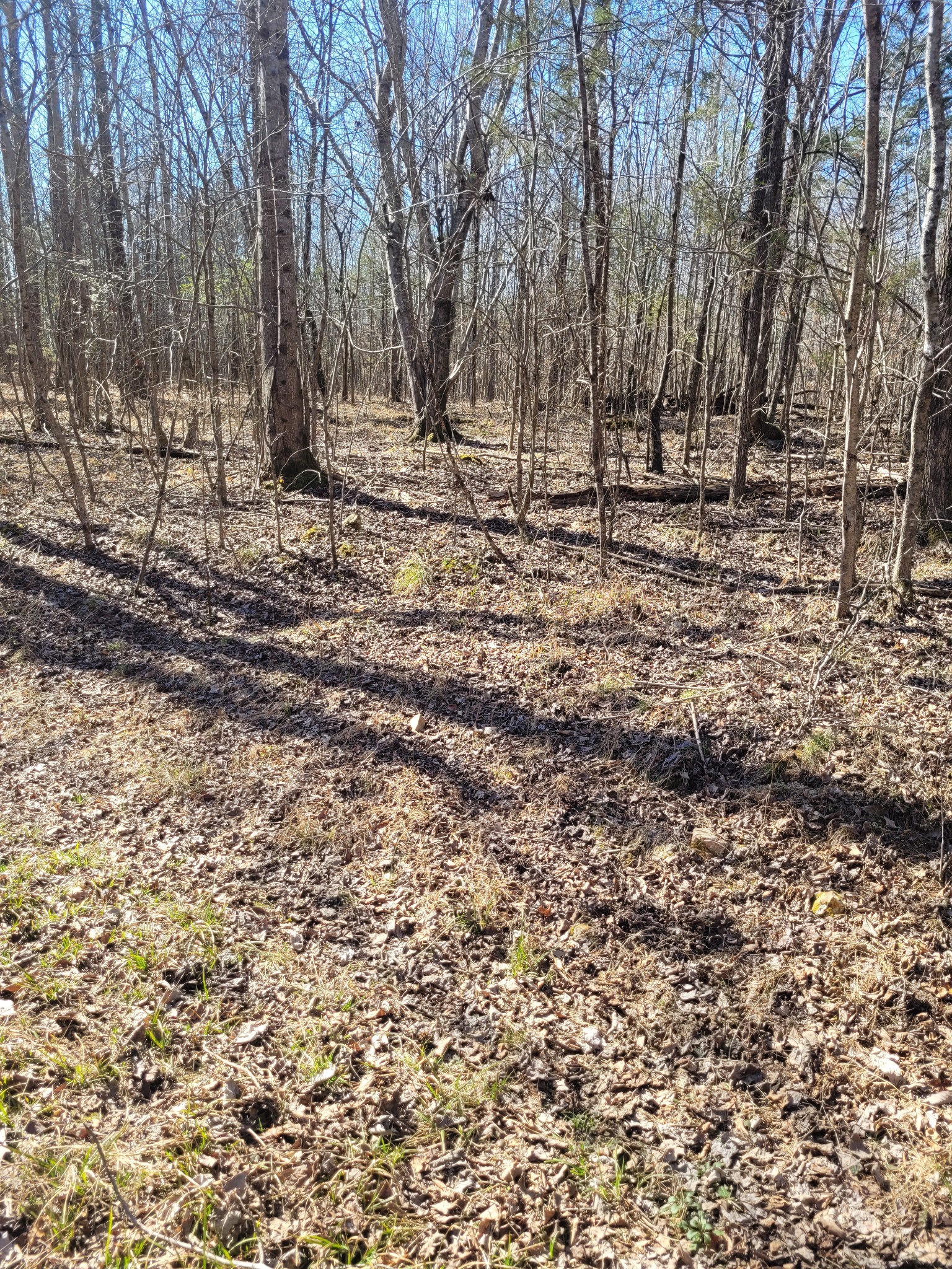 0 Cowhorne Hollow Rd Property Photo 9