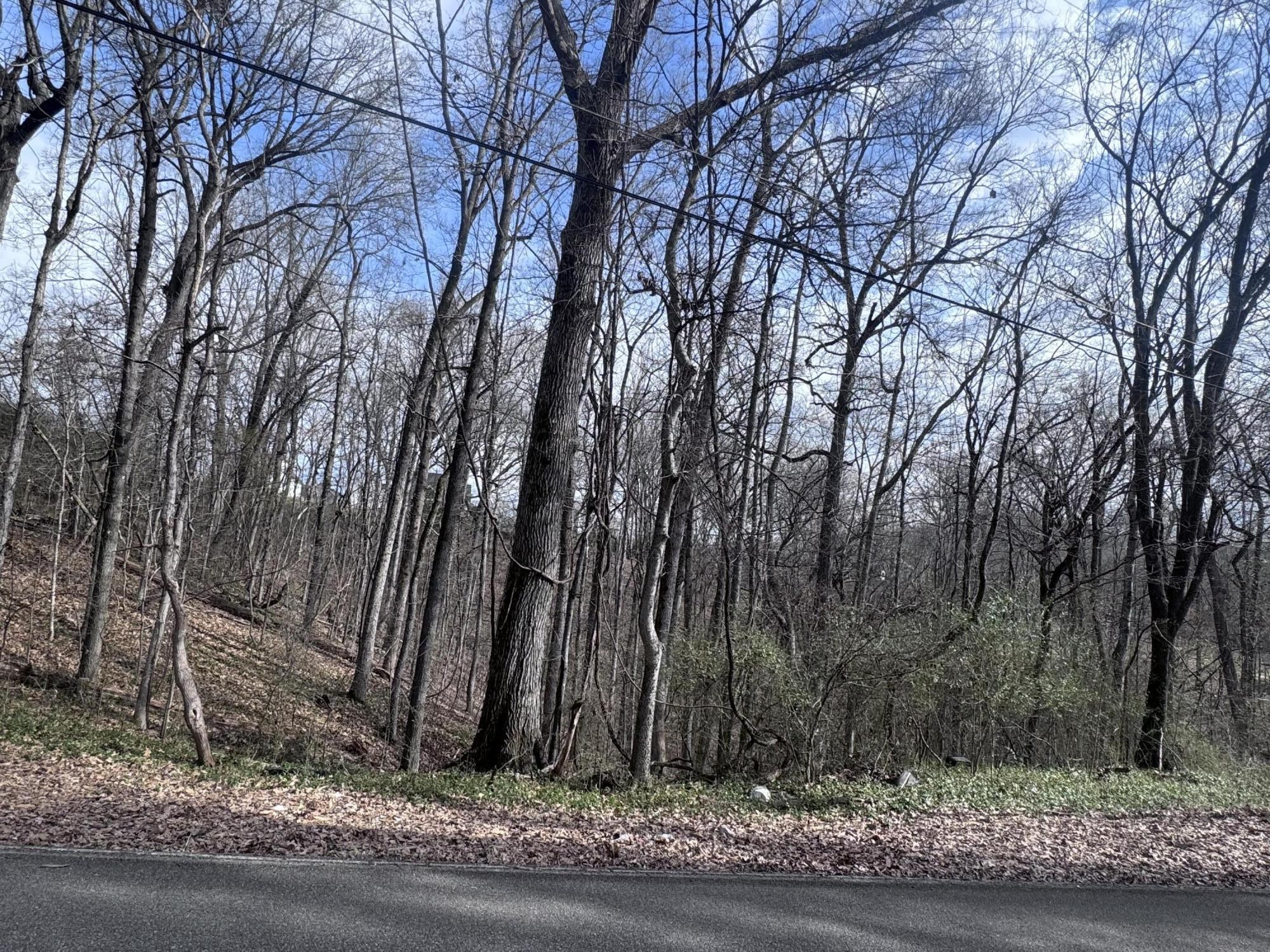 9976 Blue Springs Road Property Photo