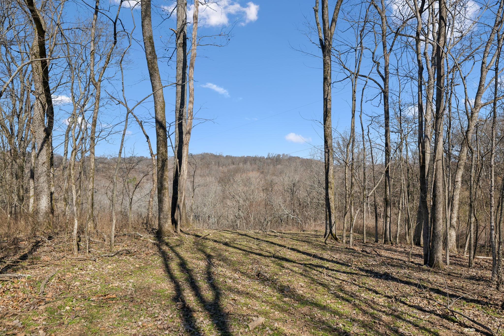 8771 Dog Branch Rd Property Photo 1
