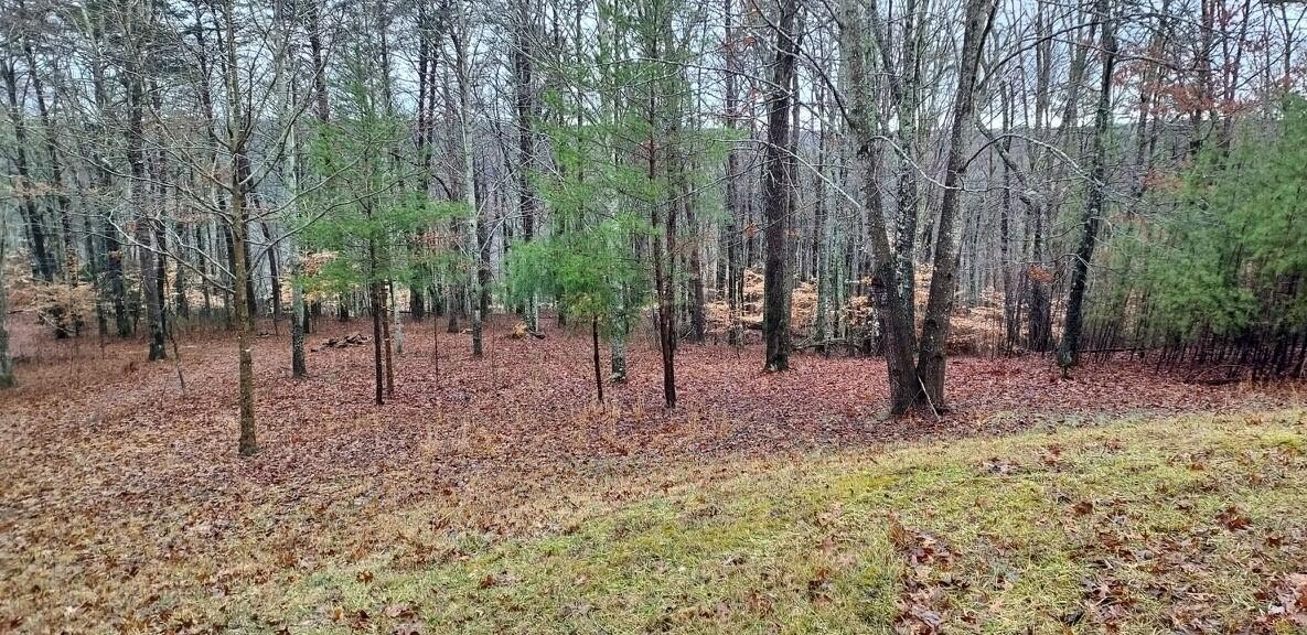 0 Wilderness Lane Property Photo 1