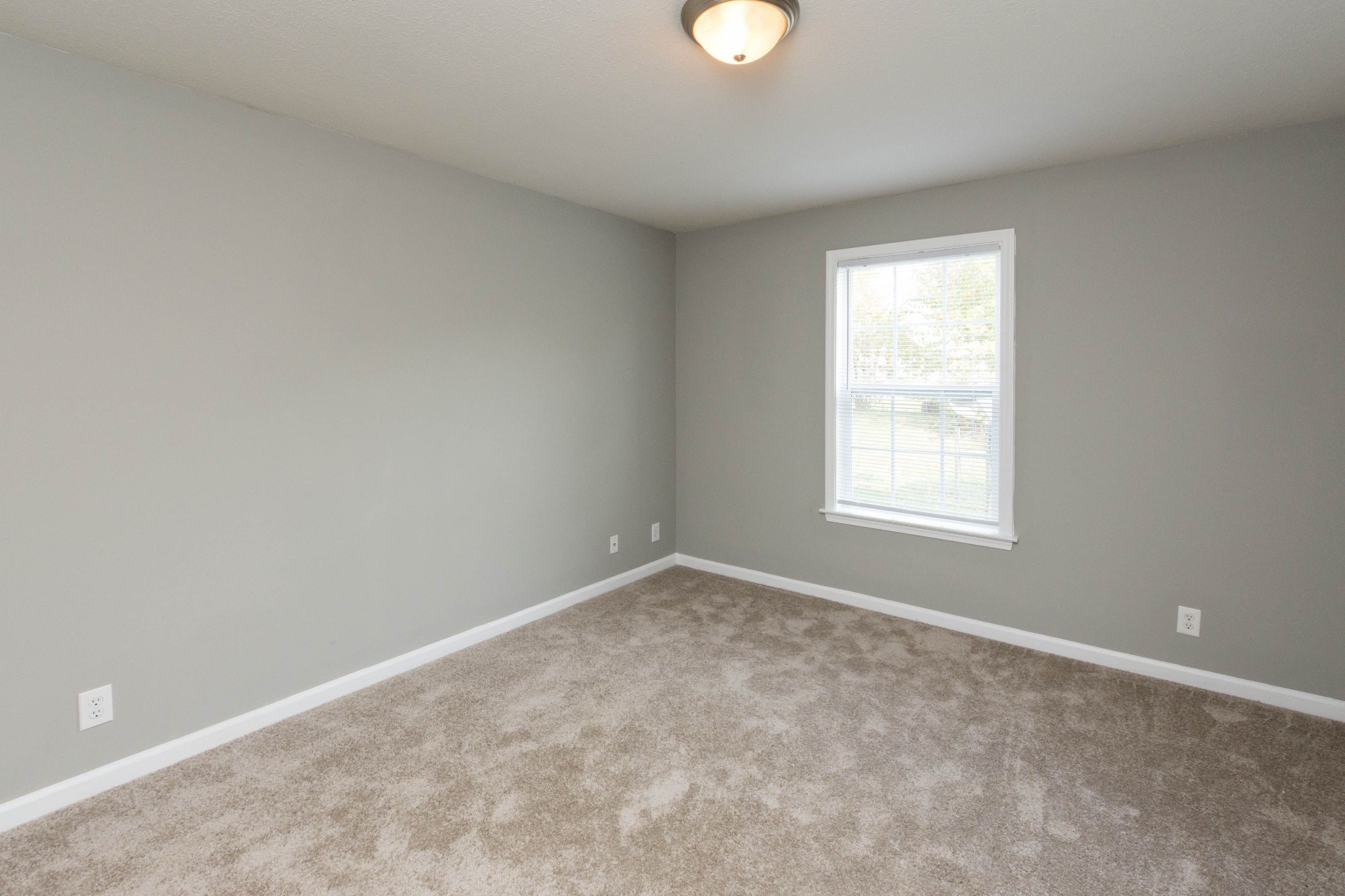 3301 Royster Ln Property Photo 11
