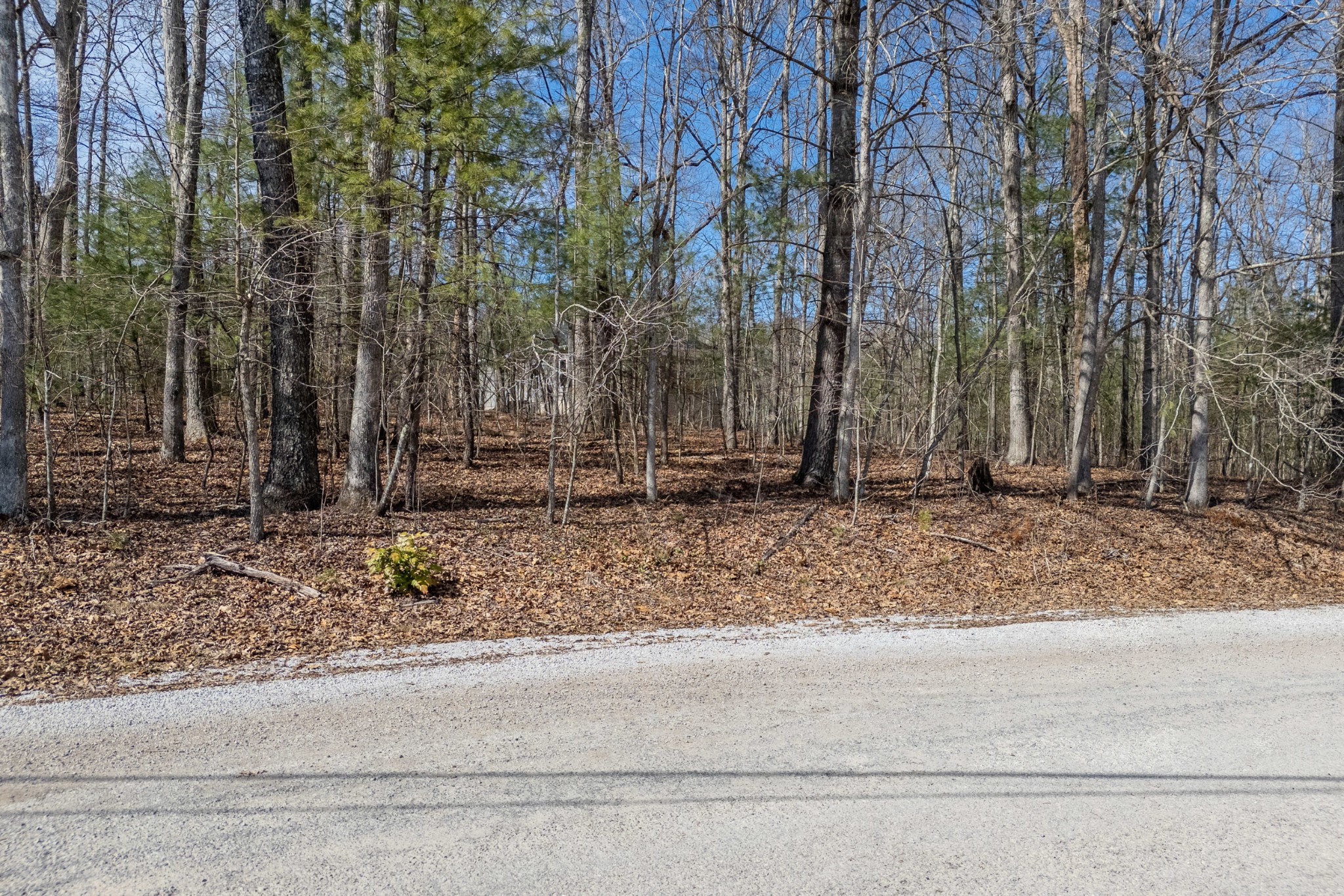 17 Hunterwood Ct Property Photo 2