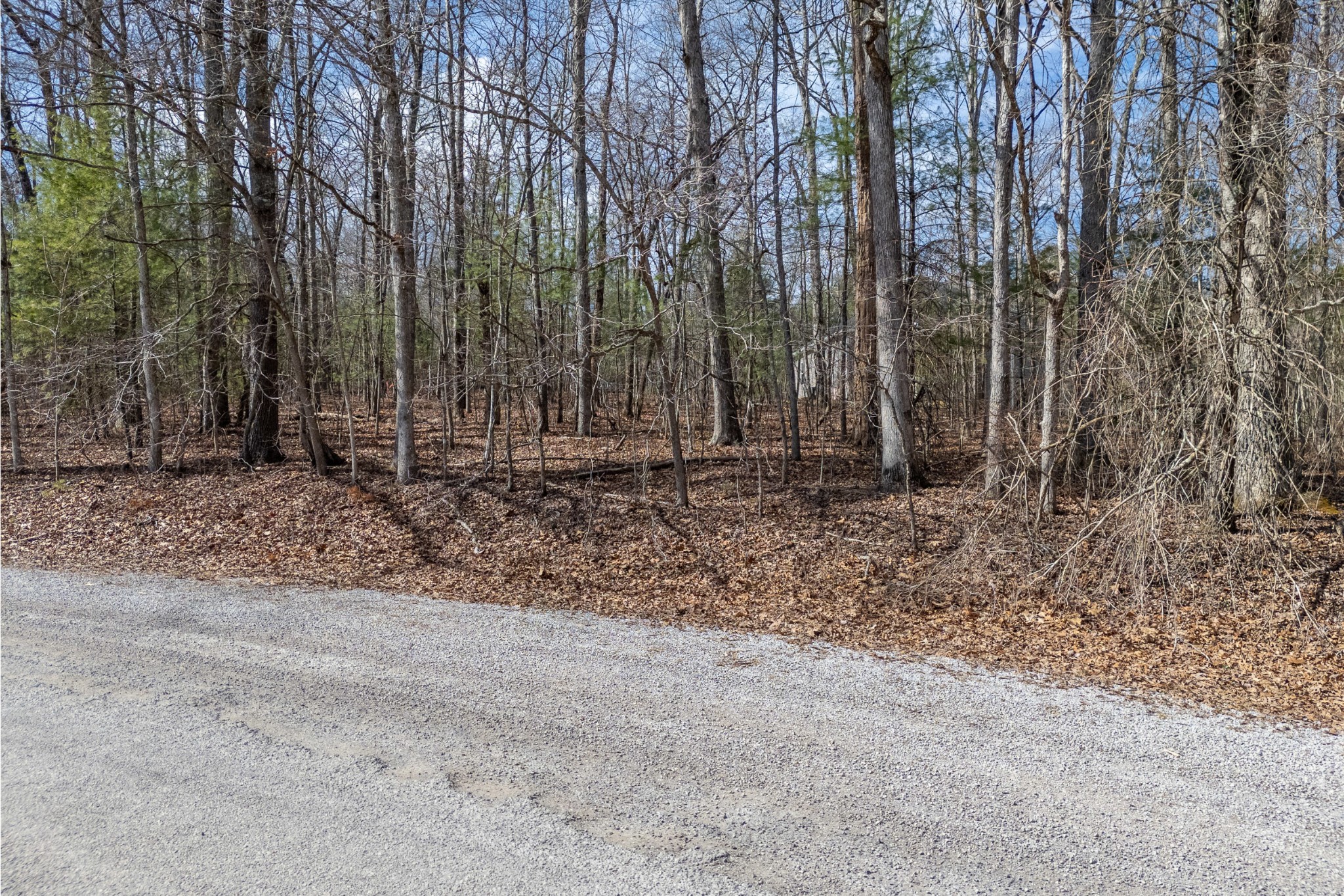 17 Hunterwood Ct Property Photo 3
