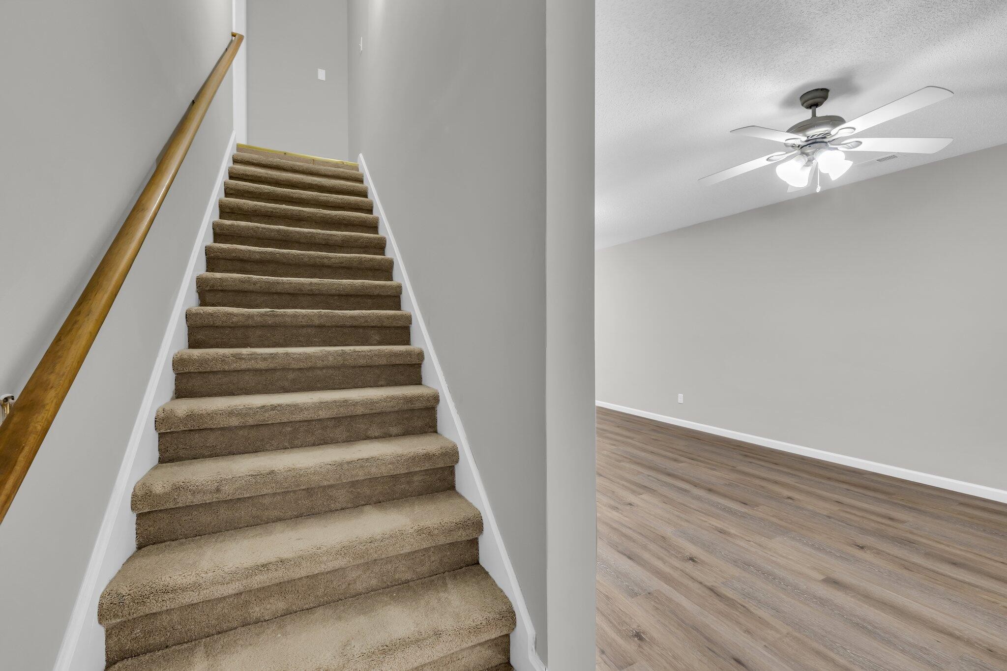8115 Standifer Gap Road Property Photo 22