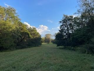 2341 Indian Creek Rd Property Photo 4