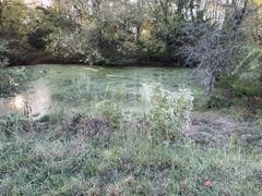 2341 Indian Creek Rd Property Photo 5