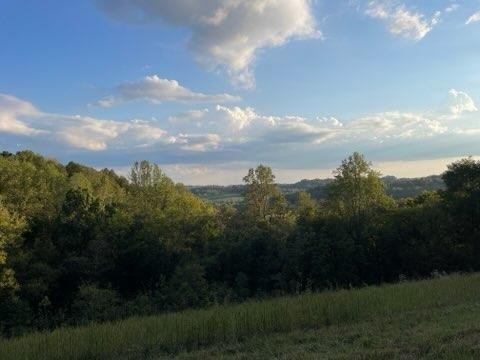 2341 Indian Creek Rd Property Photo 10