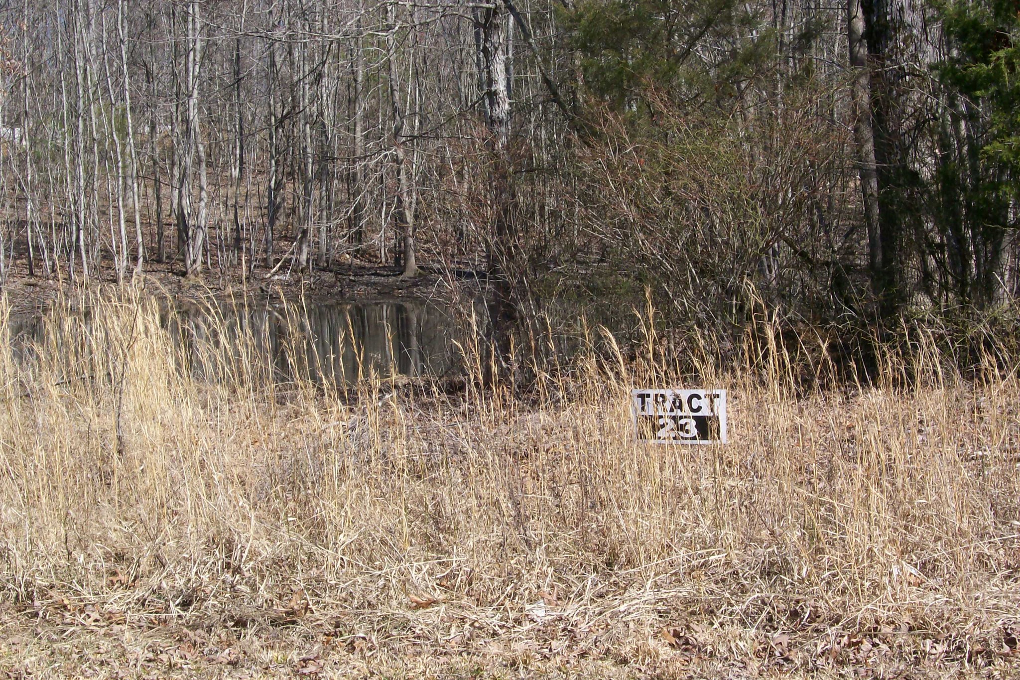 0 Wildwood Rd Property Photo 1