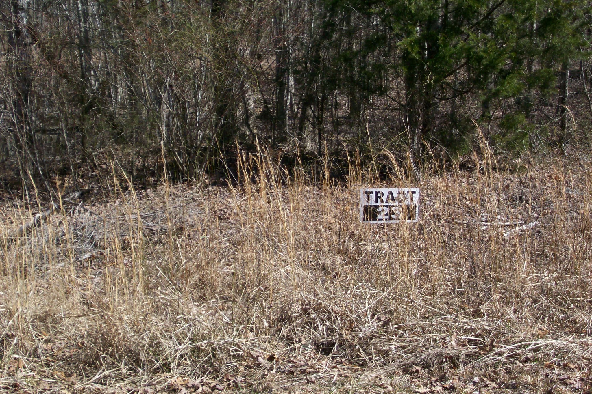 0 Wildwood Rd Property Photo 2