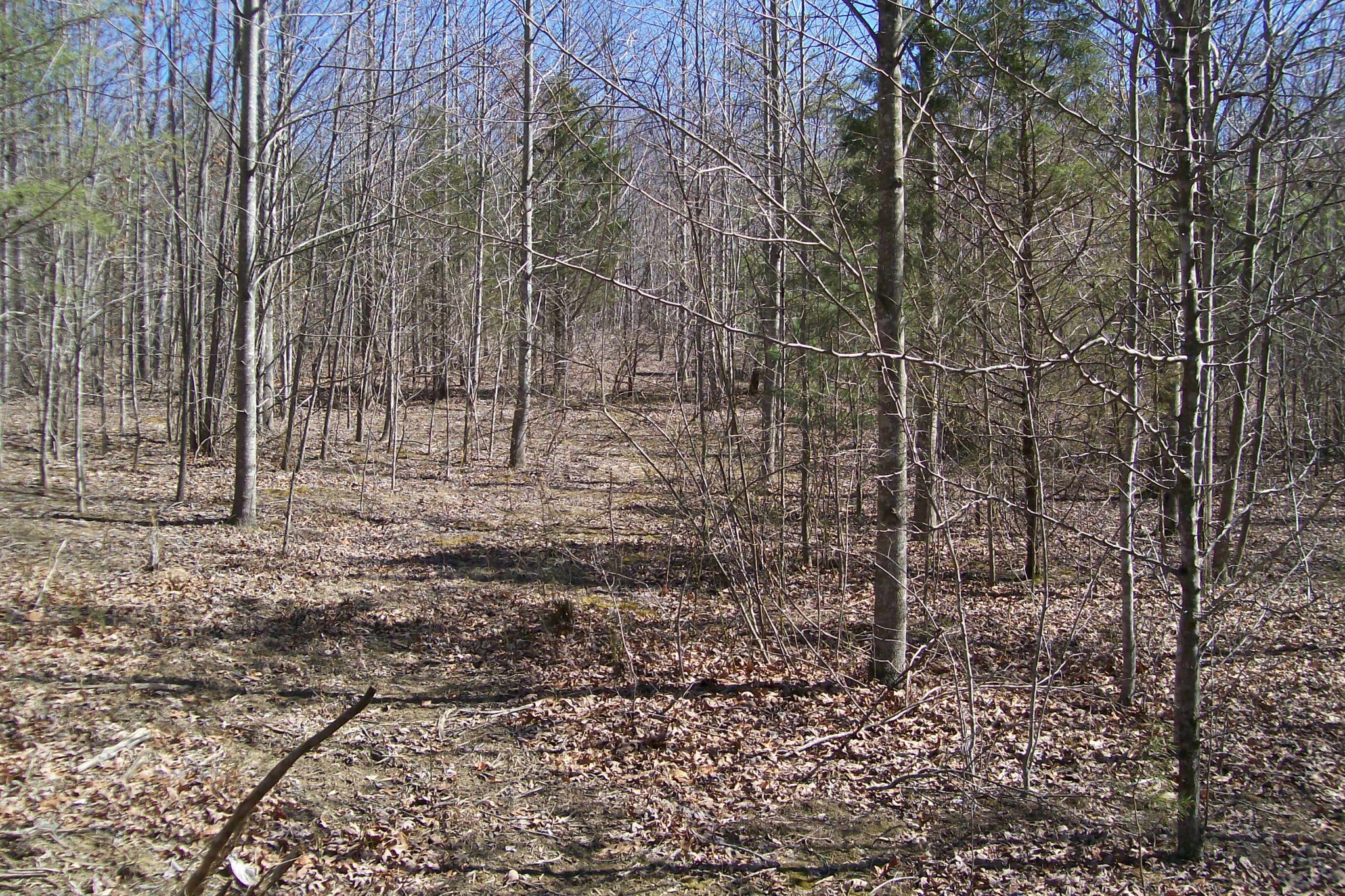 0 Wildwood Rd Property Photo 3