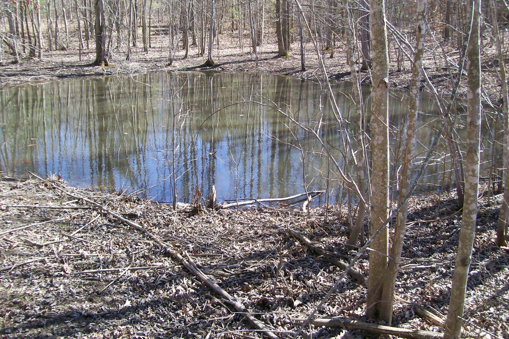 0 Wildwood Rd Property Photo 4