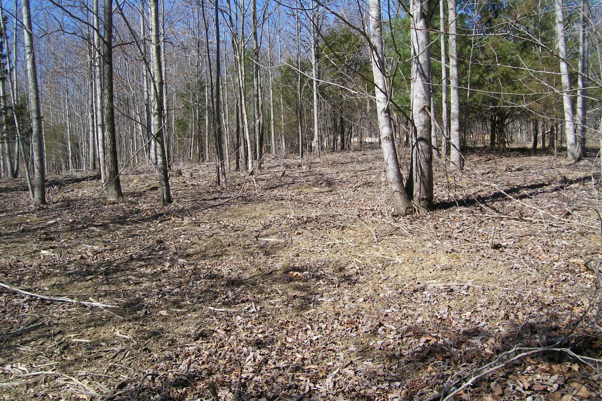 0 Wildwood Rd Property Photo 5