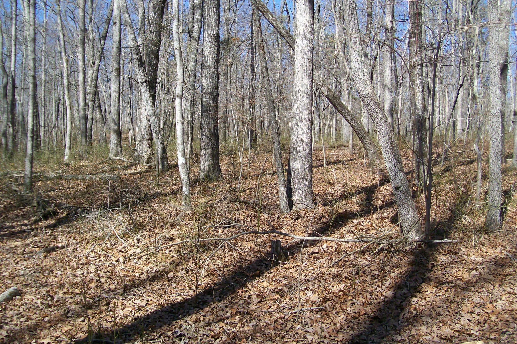 0 Wildwood Rd Property Photo 7