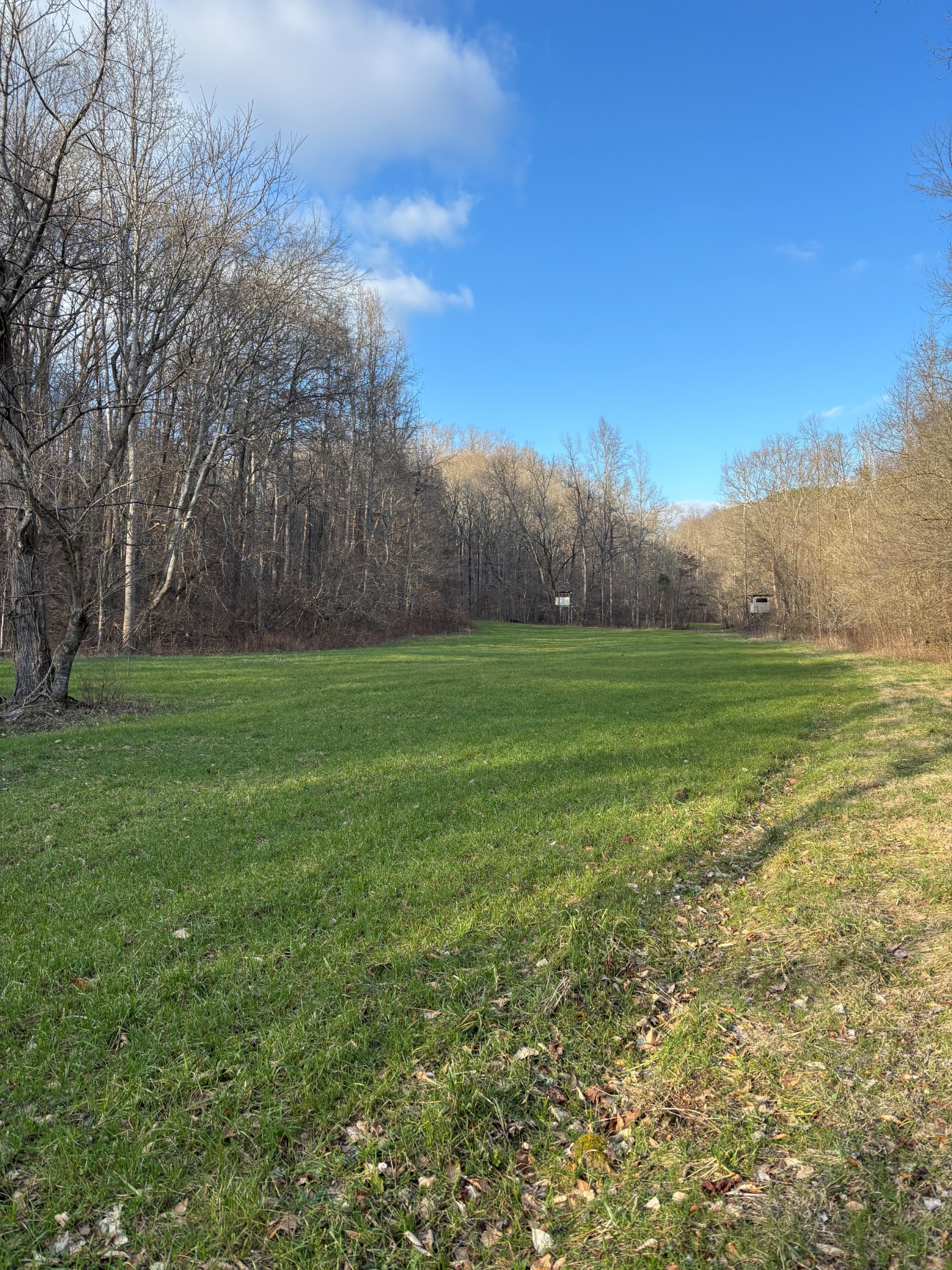 1459 Columbia Hwy Property Photo 51