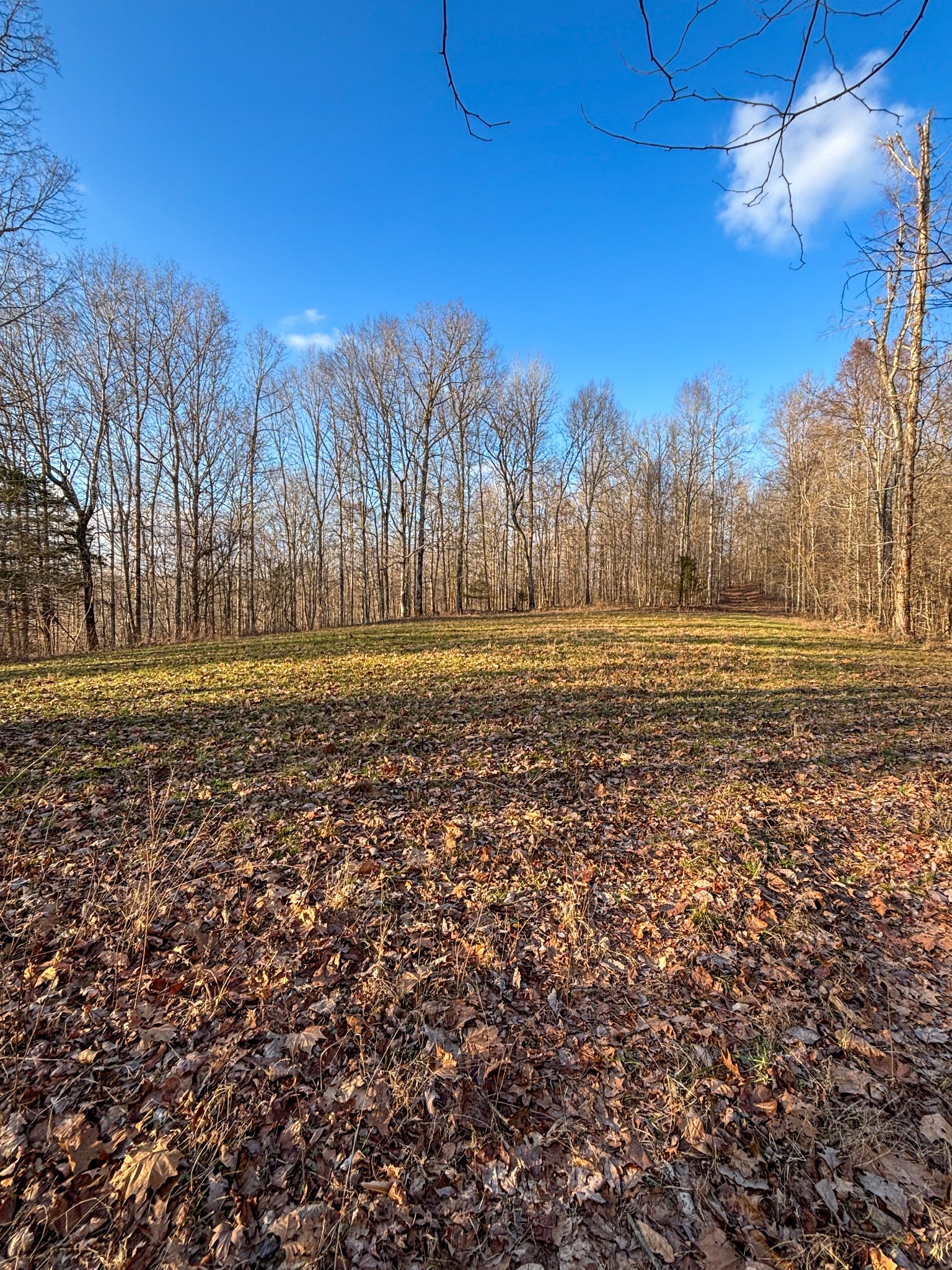1459 Columbia Hwy Property Photo 72