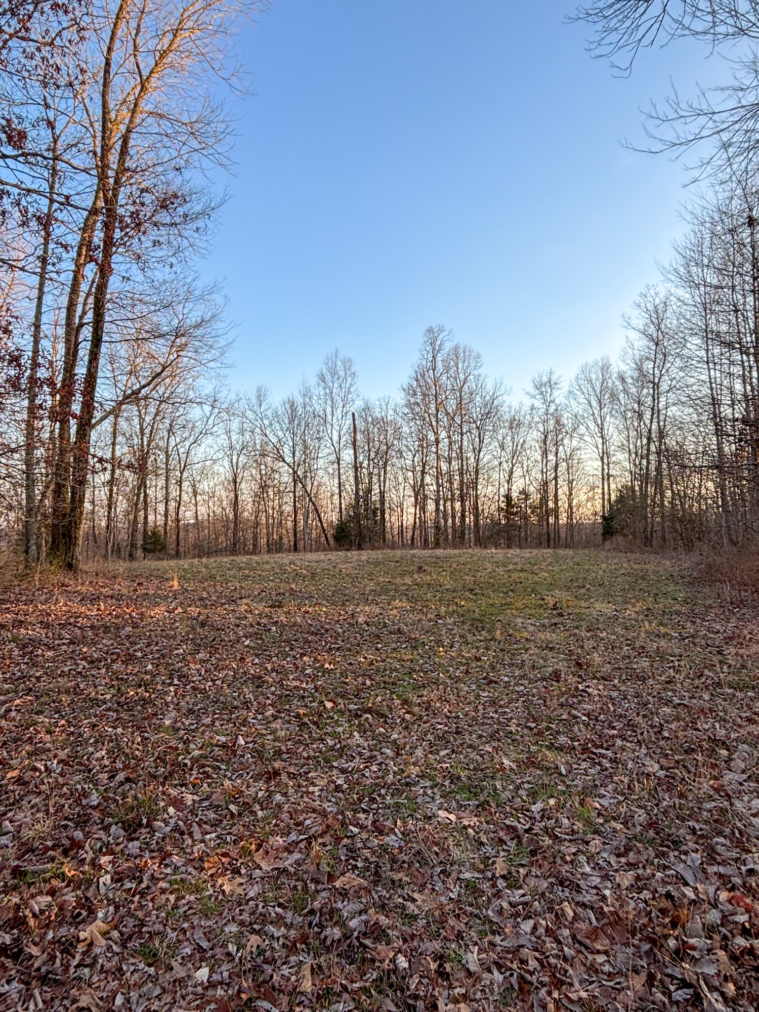 1459 Columbia Hwy Property Photo 81