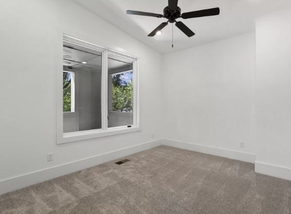 217a Eastmoreland St Property Photo 18