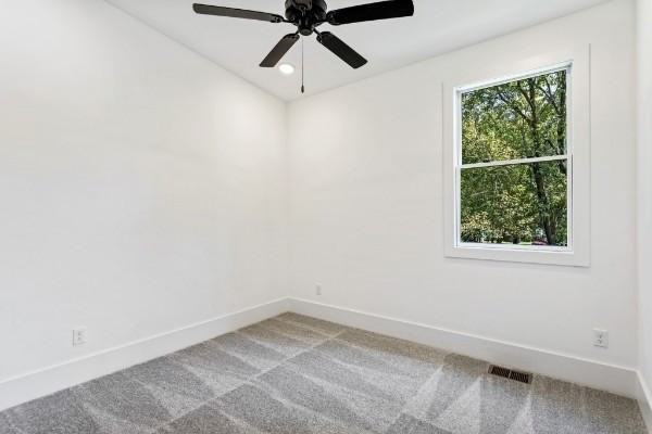 217a Eastmoreland St Property Photo 20