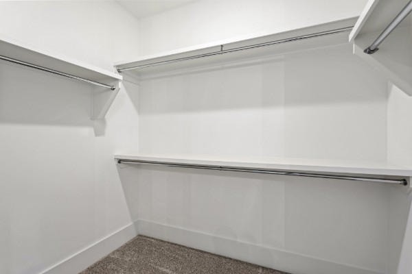217a Eastmoreland St Property Photo 24