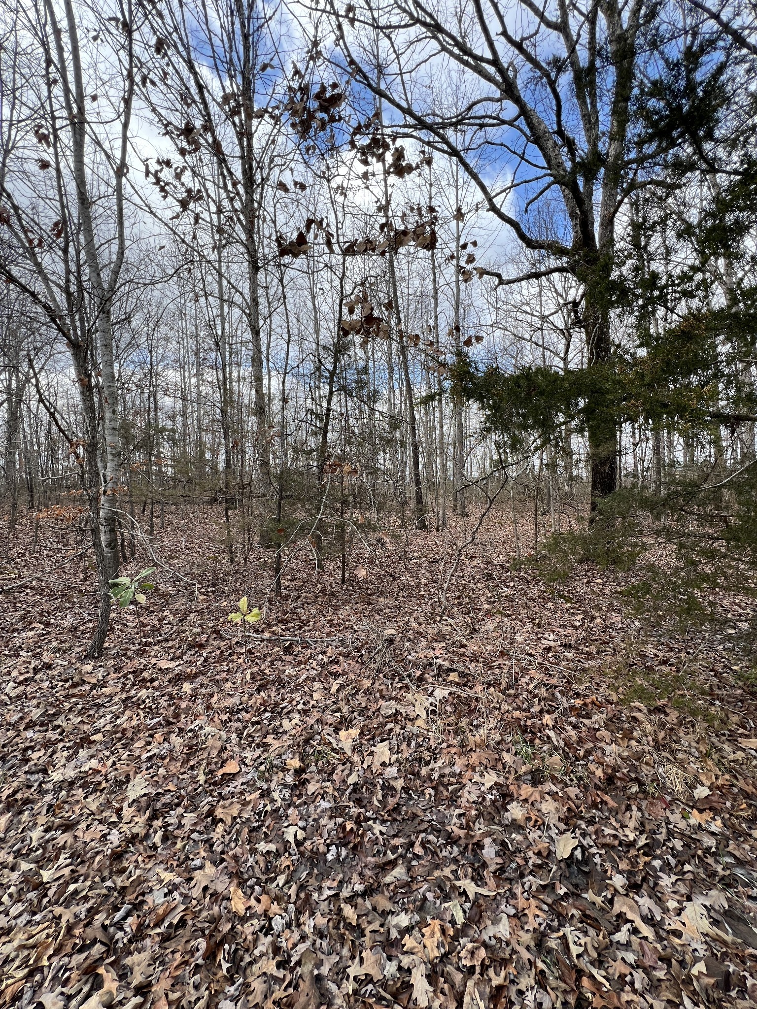 0 Cheyenne Cir Property Photo 1