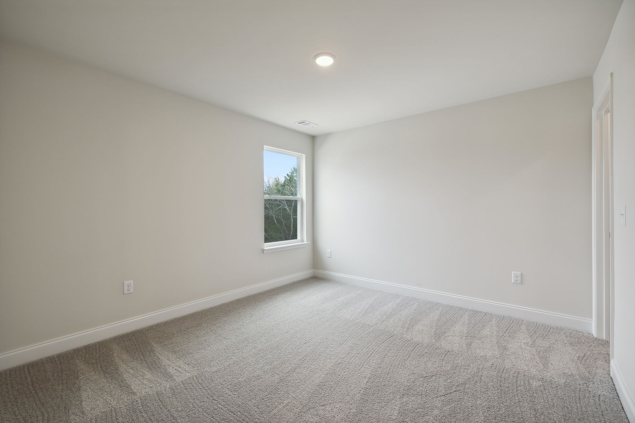 113 Cannonade Court Property Photo 45