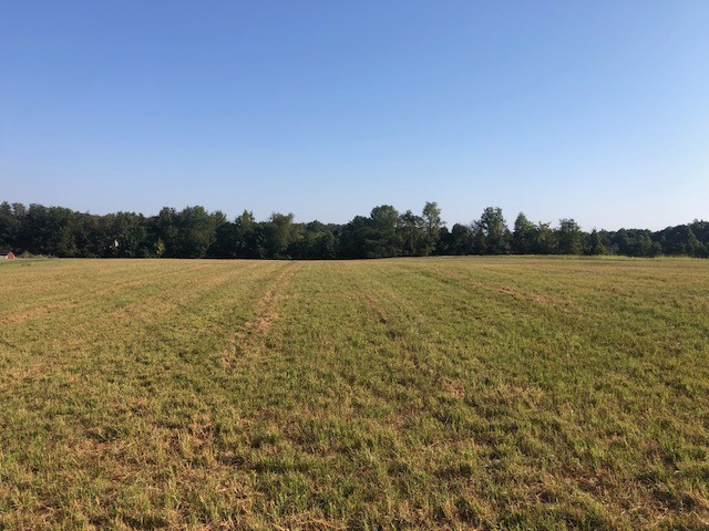 9 Hwy 109 Property Photo 16