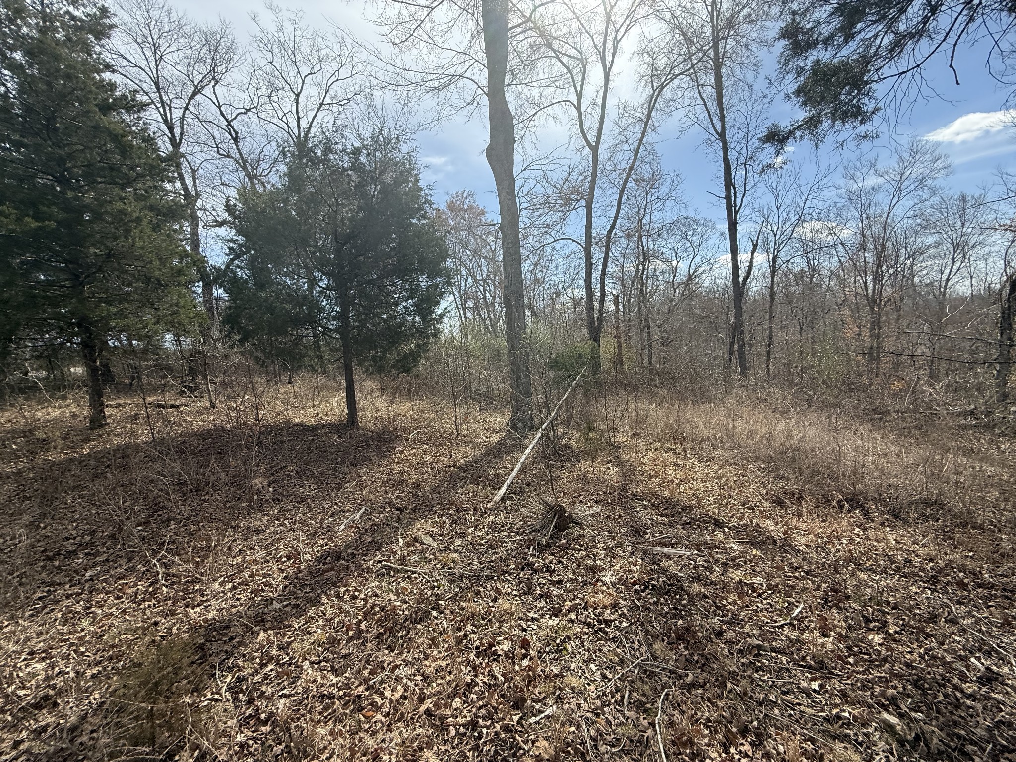6 Grays Chapel Rd Tract 6 Property Photo