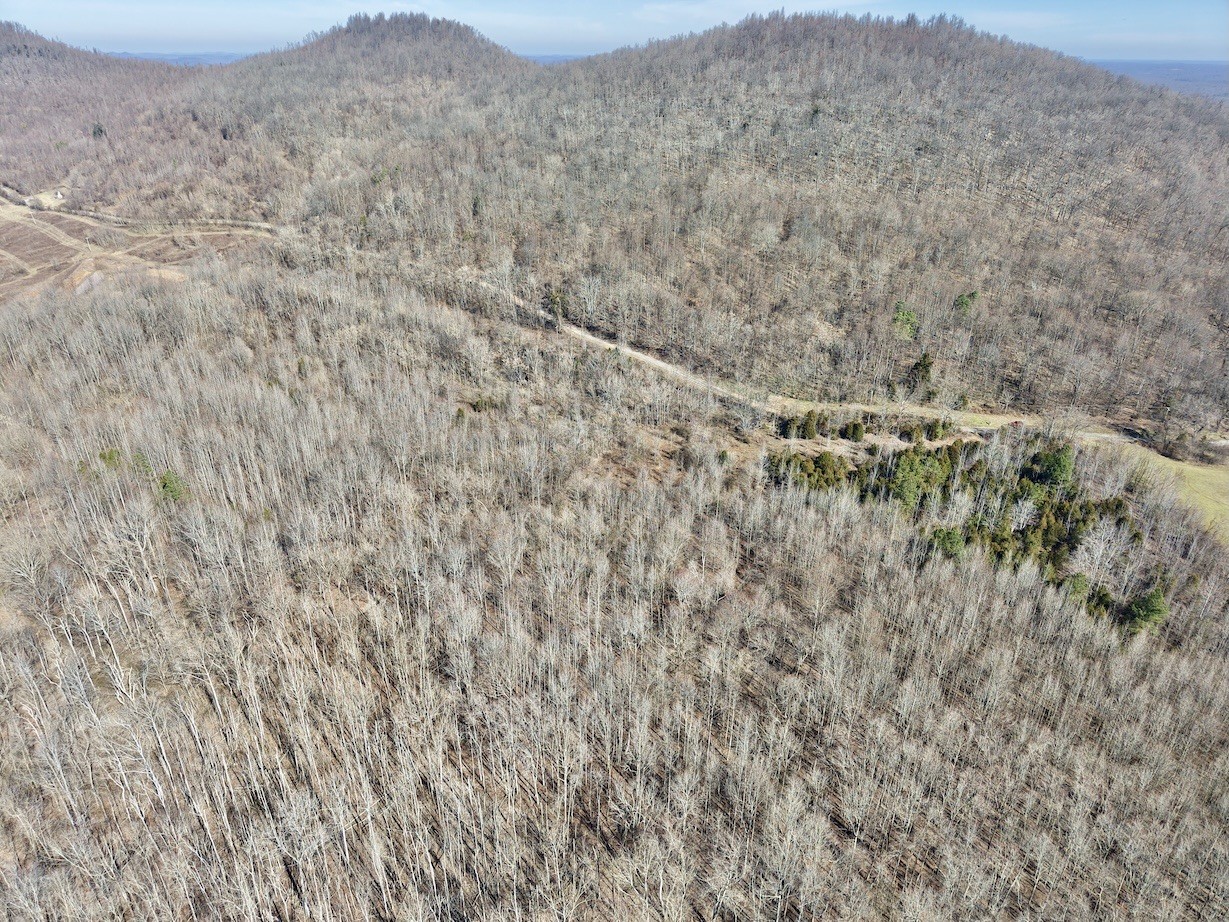 4 Gunter Hollow Rd Property Photo 3