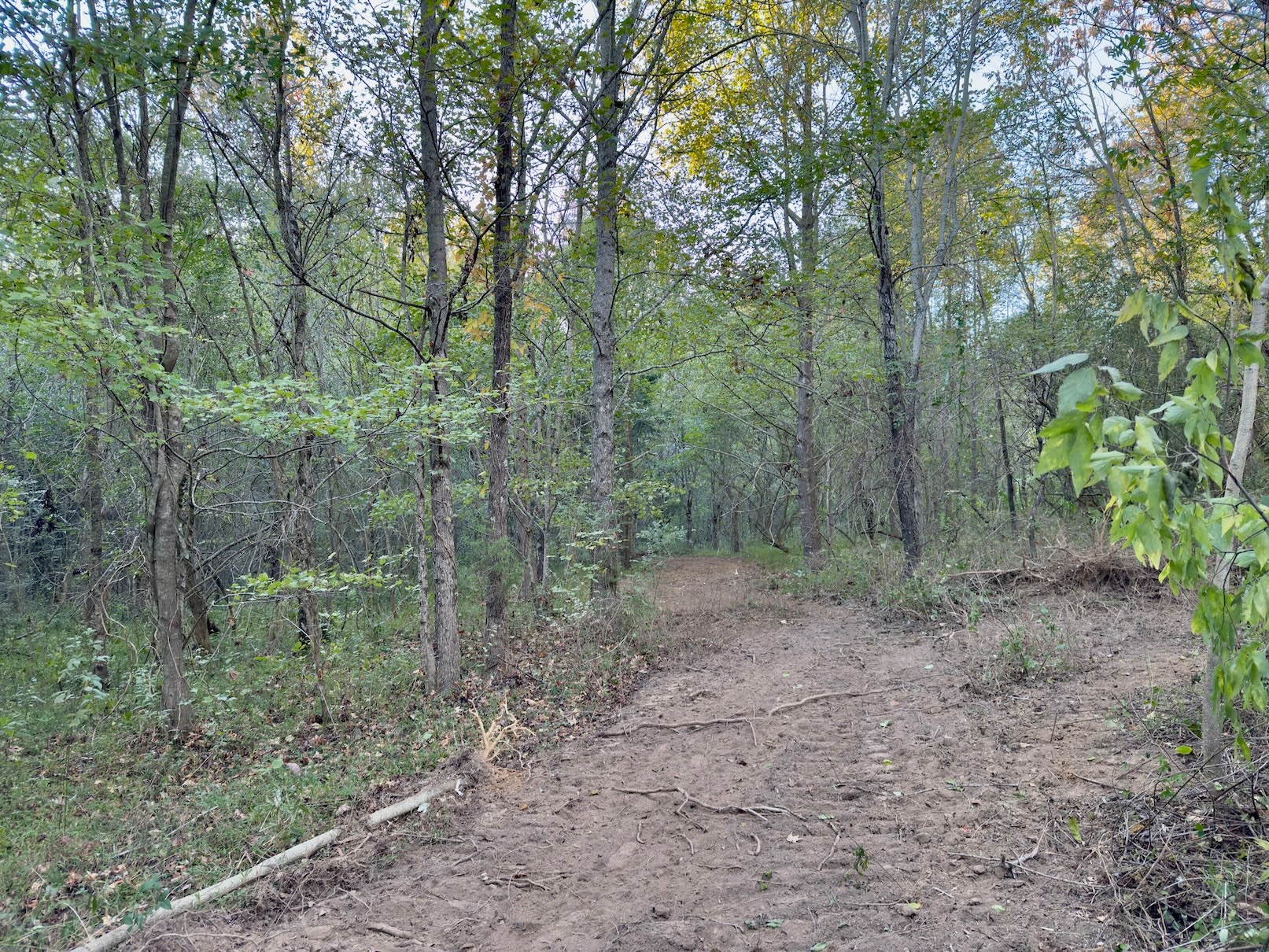 4 Gunter Hollow Rd Property Photo 4