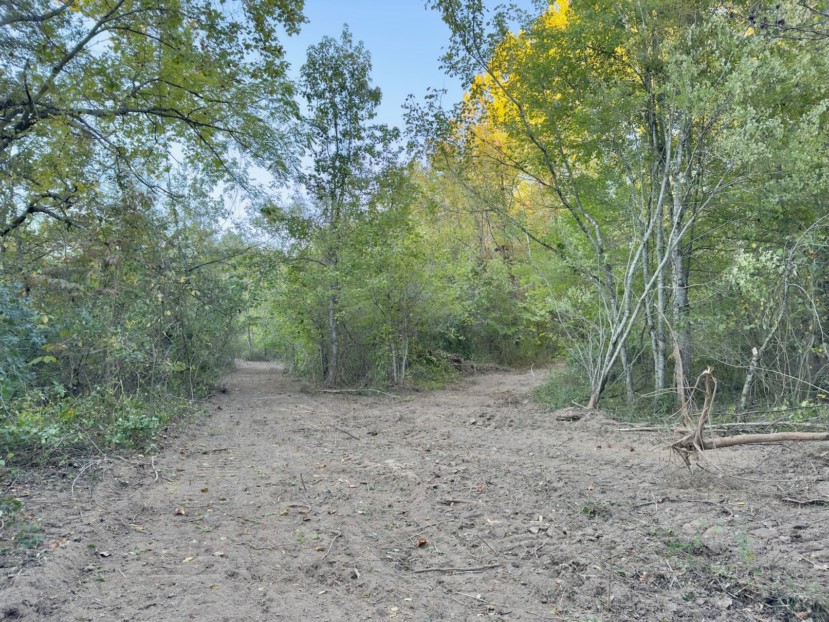 4 Gunter Hollow Rd Property Photo 5