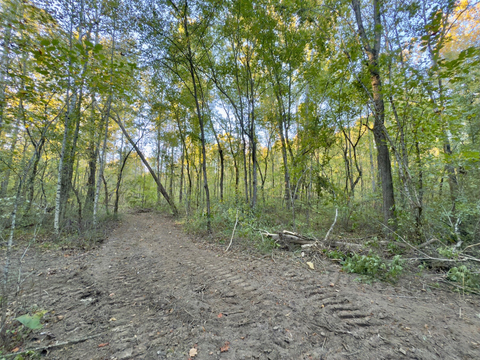 4 Gunter Hollow Rd Property Photo 7