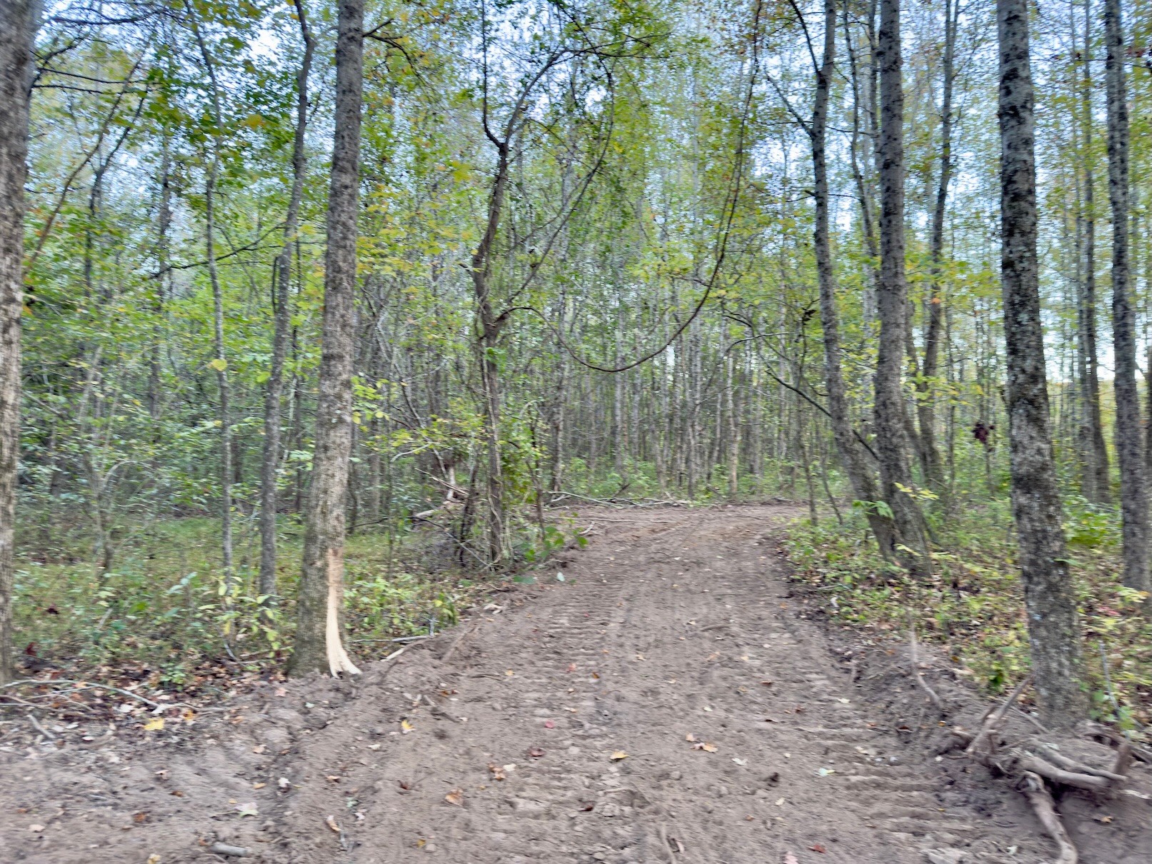 5 Gunter Hollow Rd Property Photo 5