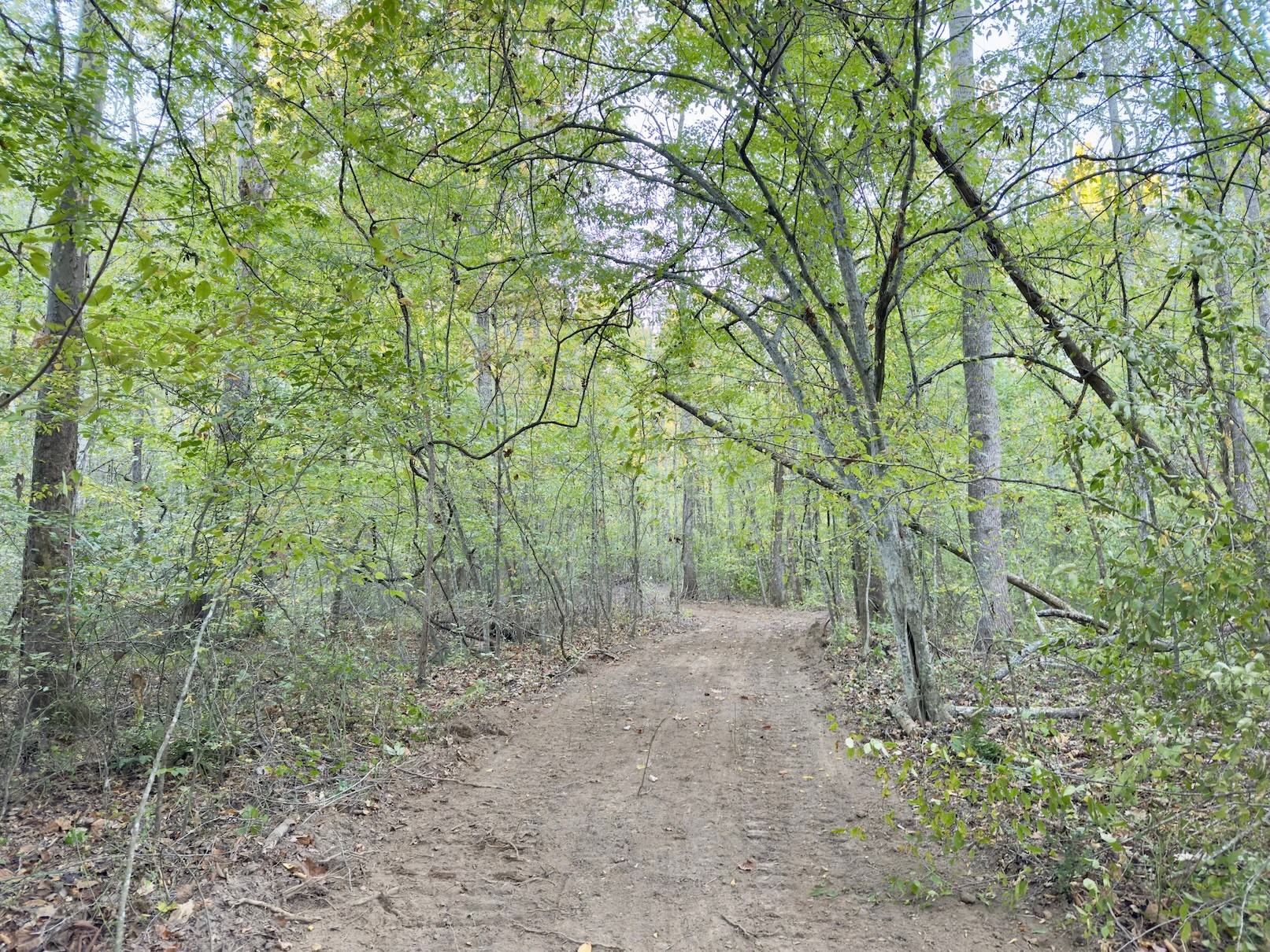 5 Gunter Hollow Rd Property Photo 8