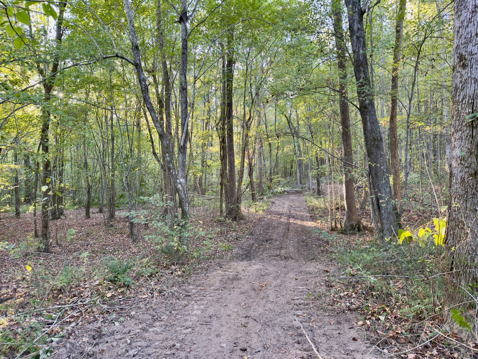 5 Gunter Hollow Rd Property Photo 9