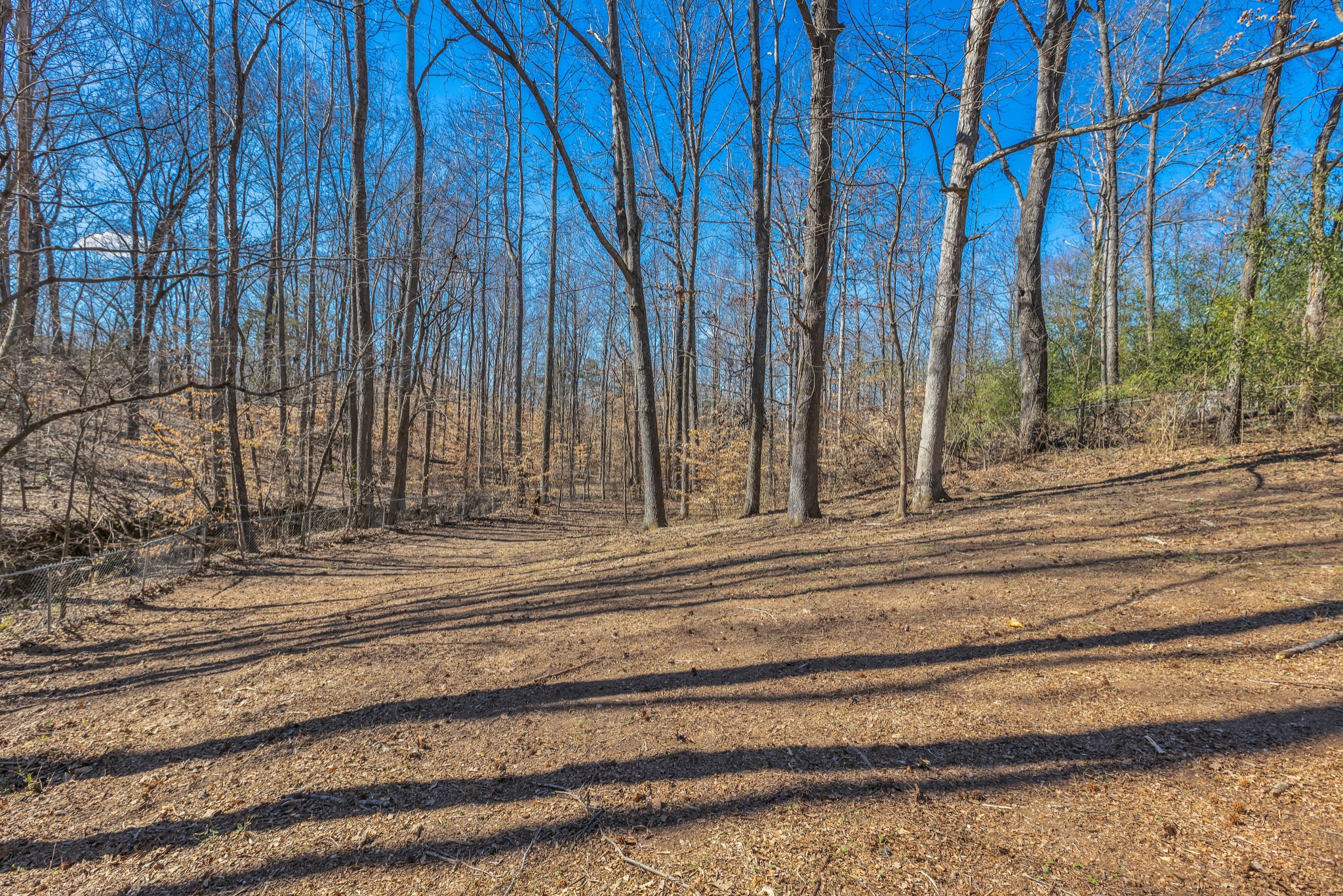 7107 Dogwood Ct Property Photo 45