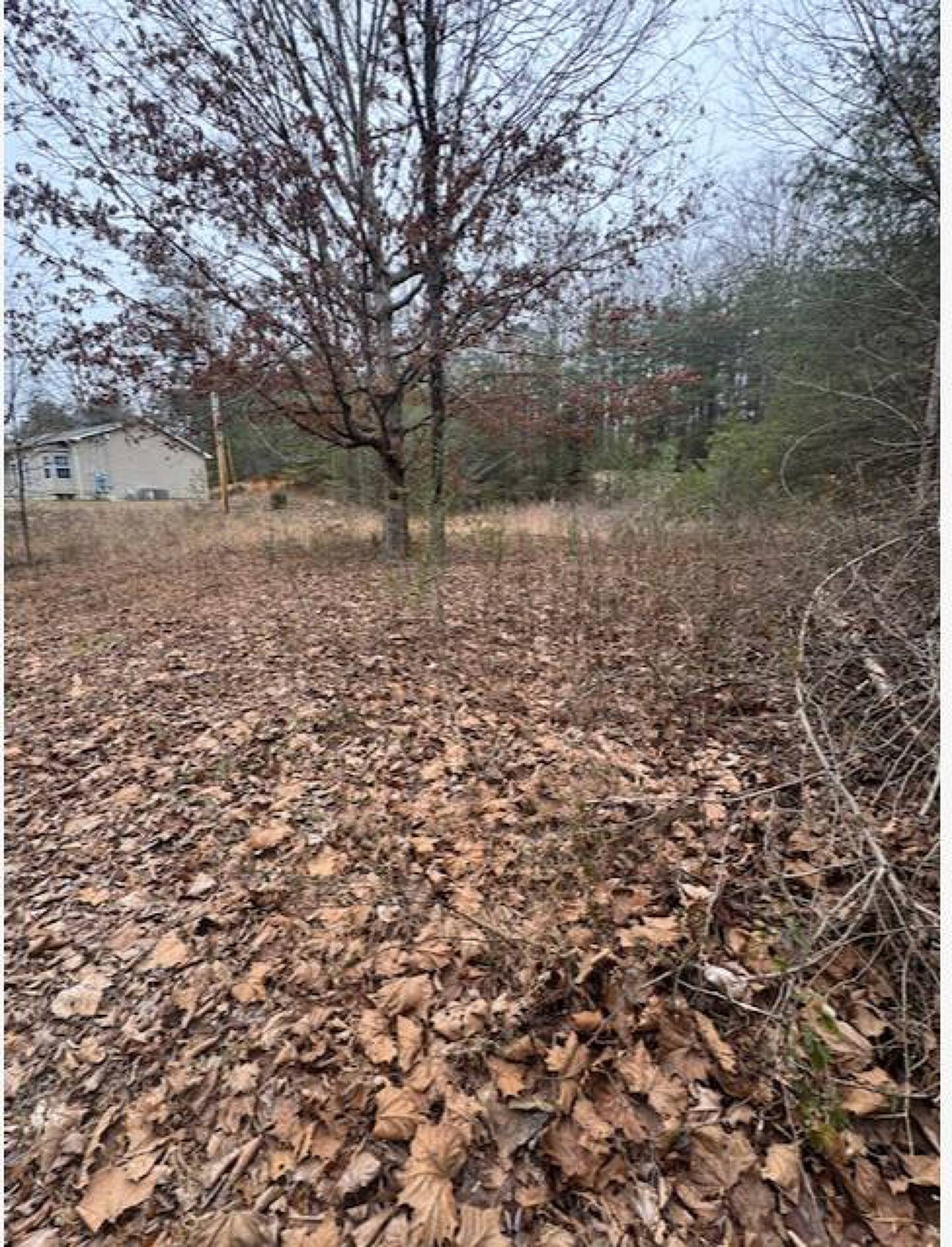 11 Cotton Road Property Photo 4