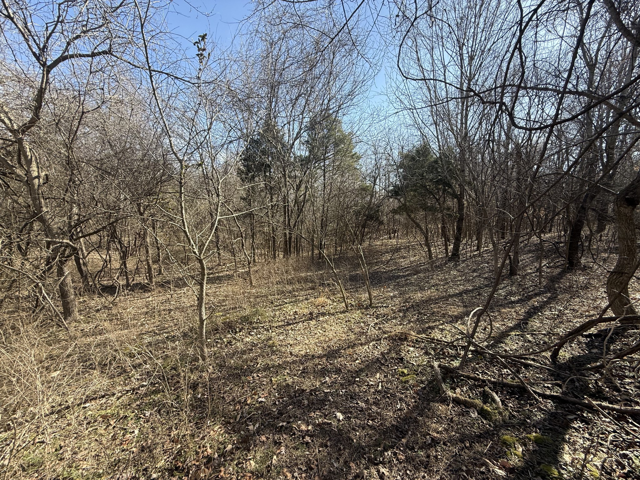 0 Epps Rd Property Photo