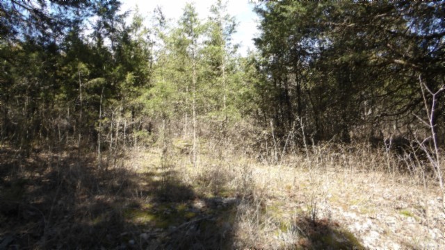 0 Lewis James Lane Property Photo