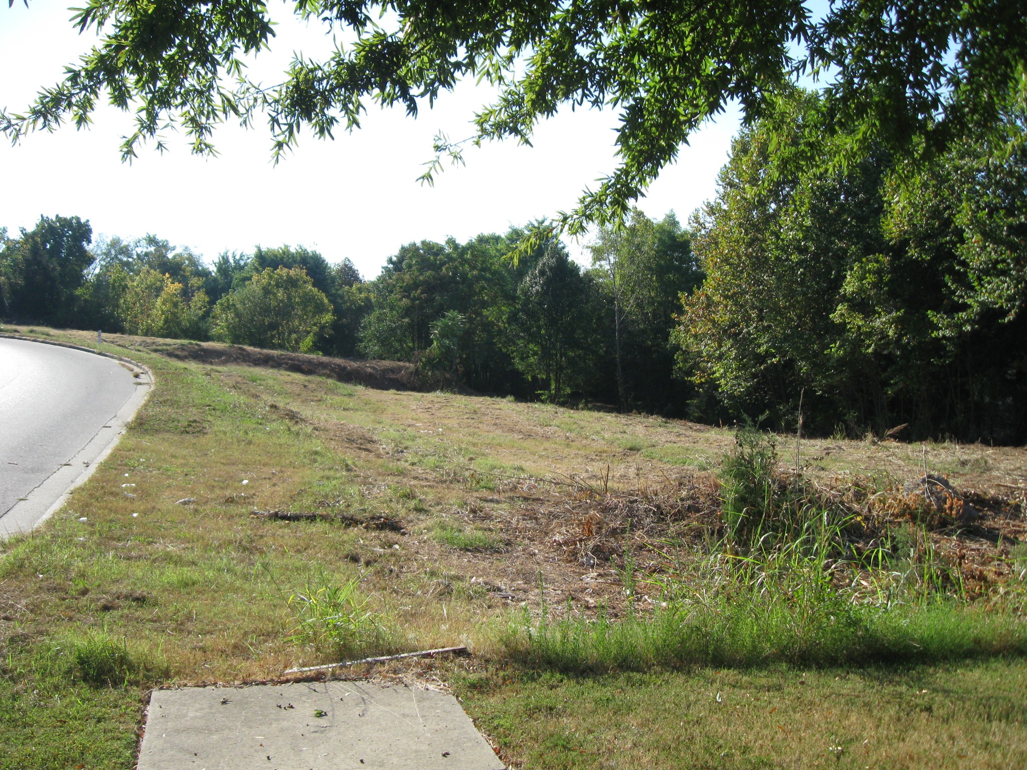 2612 Martway Drive Property Photo 4