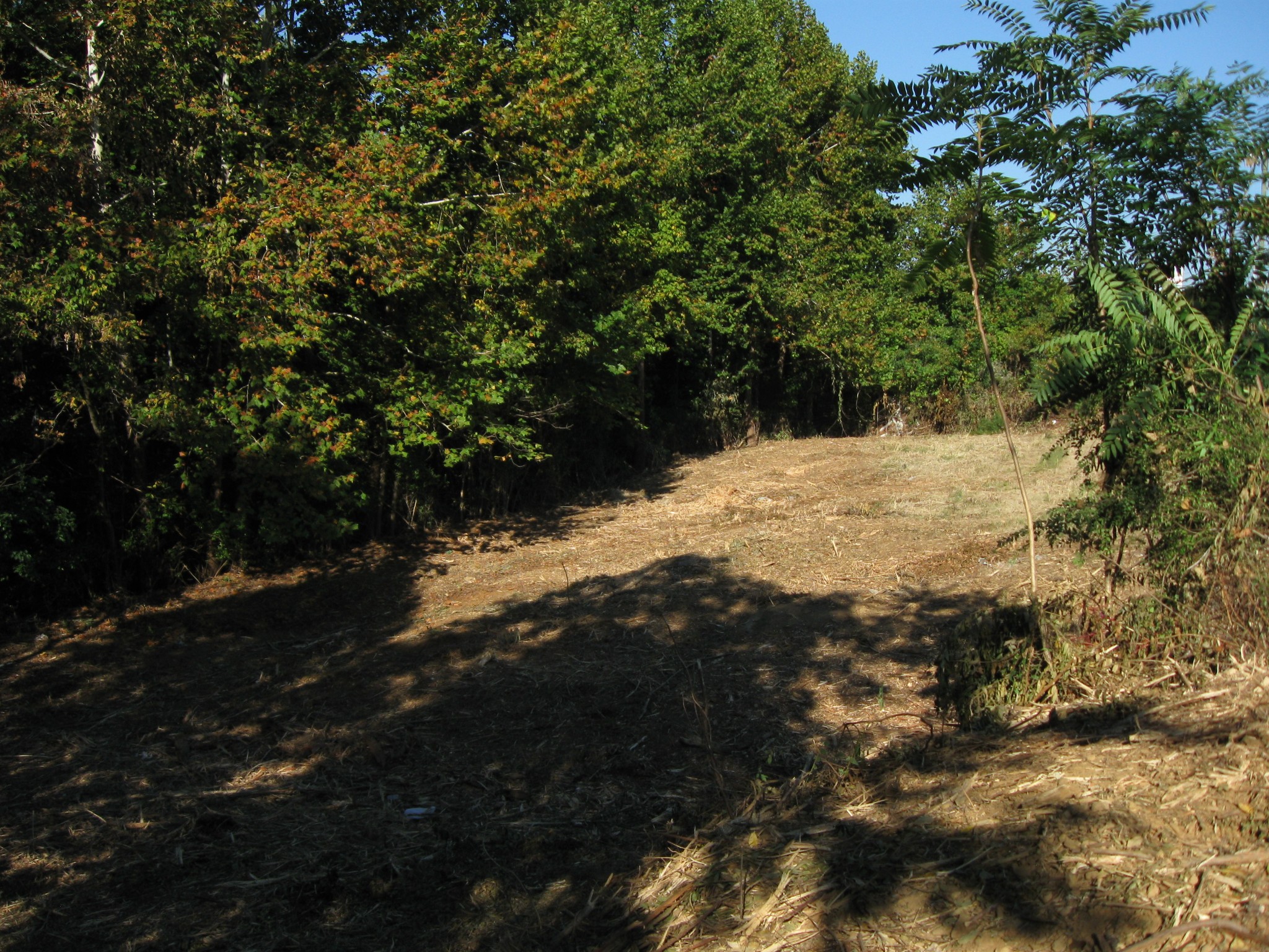 2612 Martway Drive Property Photo 8