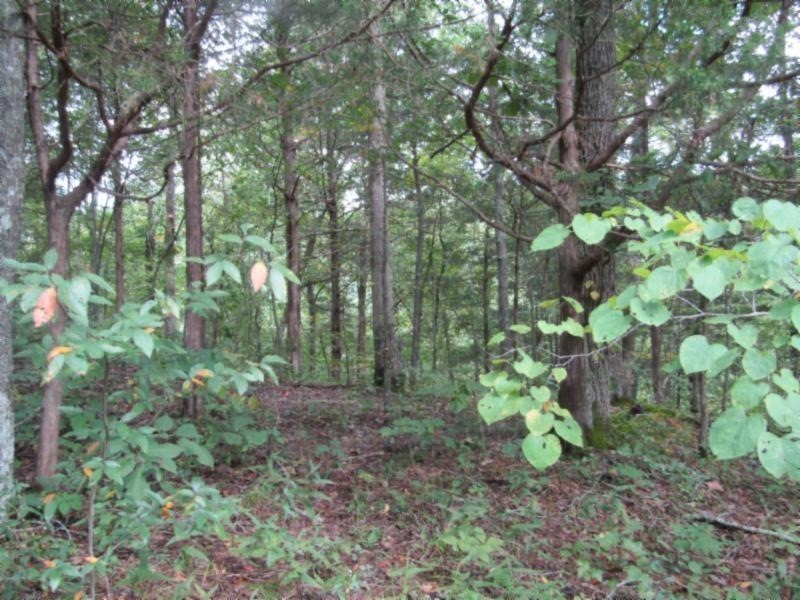 0 Malone Property Photo