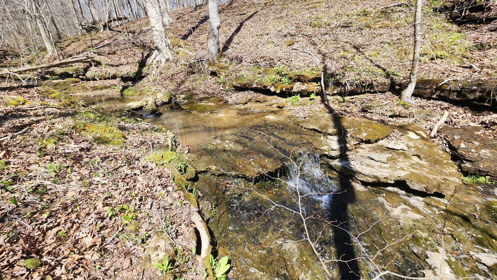 0 Allen Bend Rd Property Photo 1